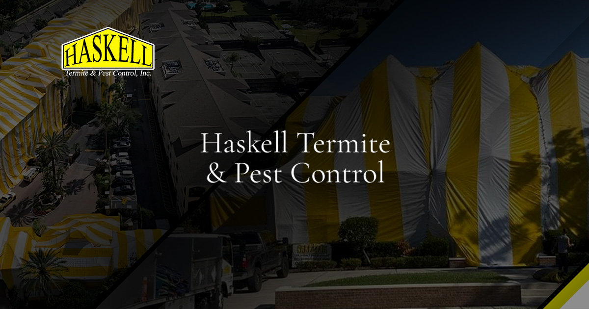 Davenport Pest Control | Haskell Termite & Pest Control