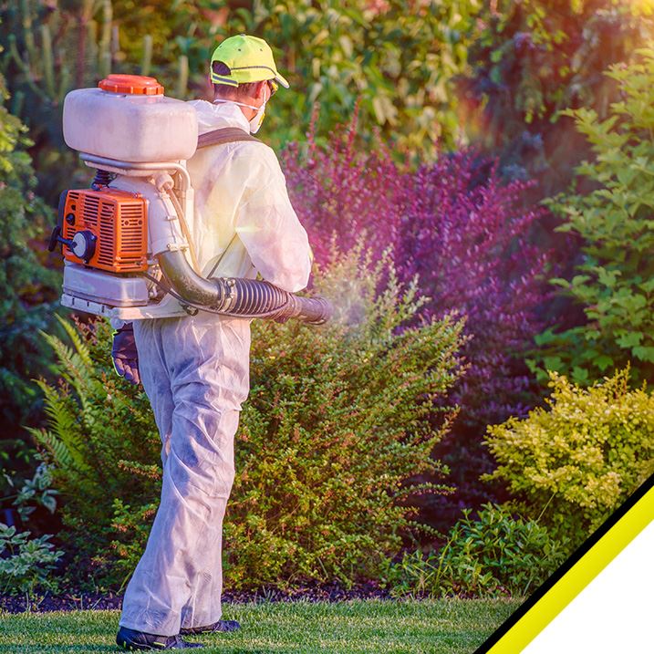 Davenport Pest Control | Haskell Termite & Pest Control